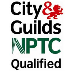 Fully qualified Tree Surgeon in Oxfordshire